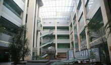 图书馆的温柔时光