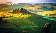 我欣赏美丽的大自然