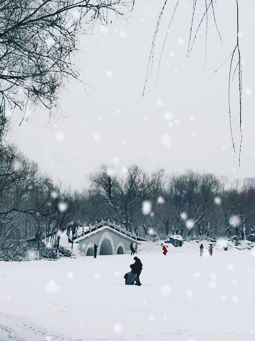 春天的雪