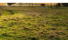 诗词叩开另一个世界的门