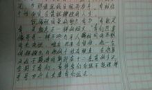 我的偶像作文700字