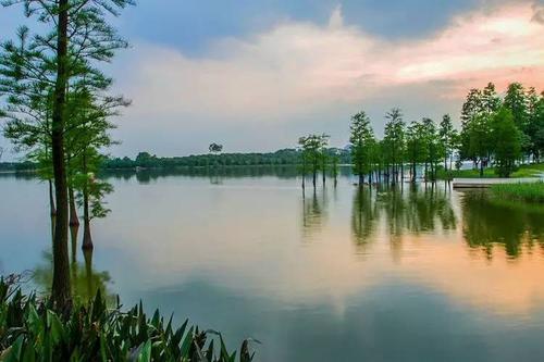 迷人的松山湖