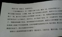 慢慢地我懂了作文800字