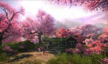 住在心里的桃花源