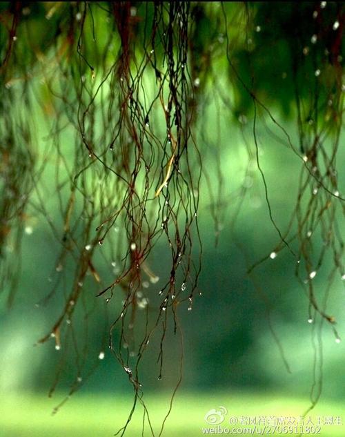雨，让生活充满诗意