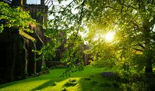 遇见缝隙里的倔强