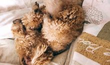 用尽一生的等候