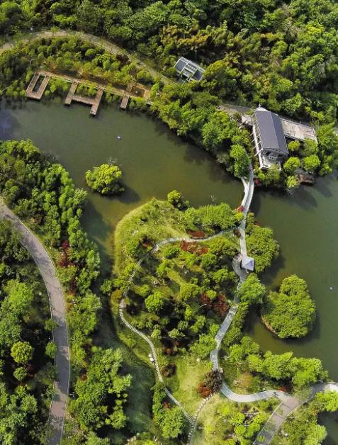 夏天中央山地公园