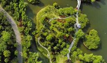 夏天的中央山公园