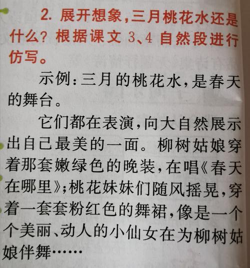 四年级书籍天窗小训练笔