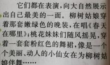 四年级下册天窗小练笔