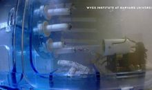 不做“机器人”