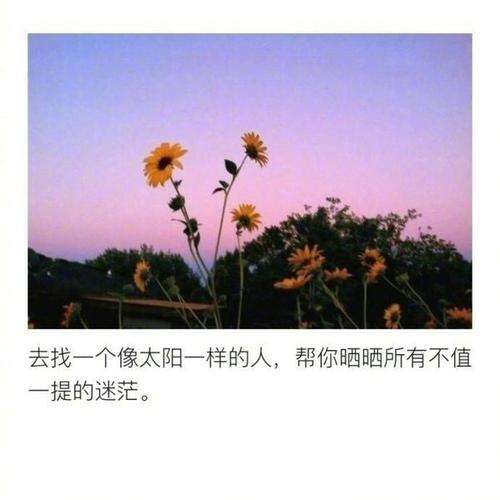 最闪耀的明星