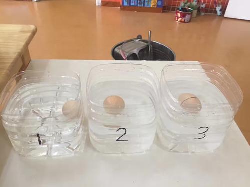 鸡蛋浮动