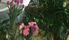 花开花落，一念之间