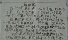 藏在什么里的秘密作文600字