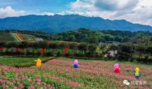 我心中有一种幸福