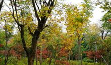 人至中年且行且成熟