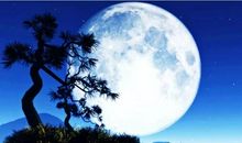 诗词是如此美丽