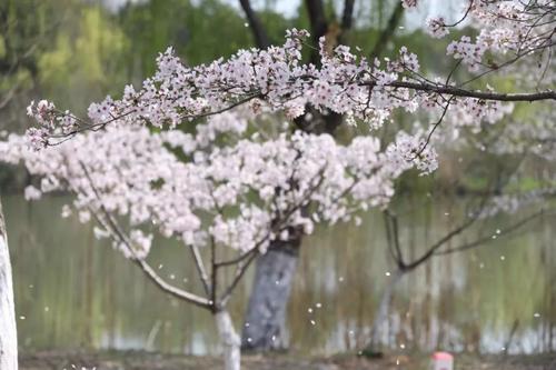 香水住在这里