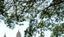 让音乐在心底永驻