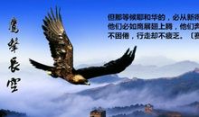 鹰的蜕变读后感