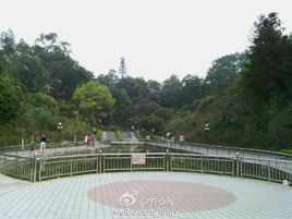东山森林公园