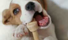 快乐的农家生活