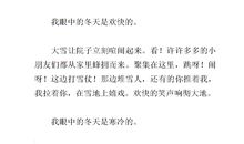 我眼中的冬天作文300字