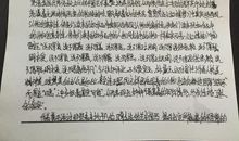 感激那双手作文400字