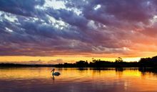 瑰丽无比的春天