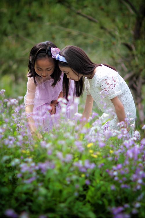 风会向花瓣中的快乐