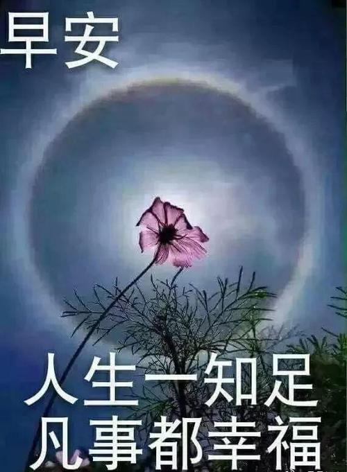 每一个生命都非常重要