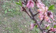 生活，是靠磨炼出来的