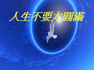 生活不需要成功