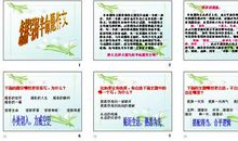 我努力读懂半命题作文