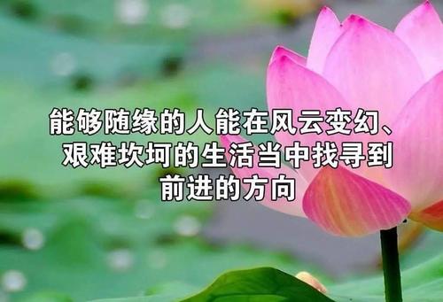 划分
