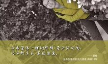 留住年华的芬芳