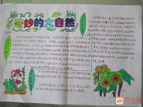 美妙的自然声音