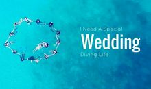 一片浸在水中的梦想