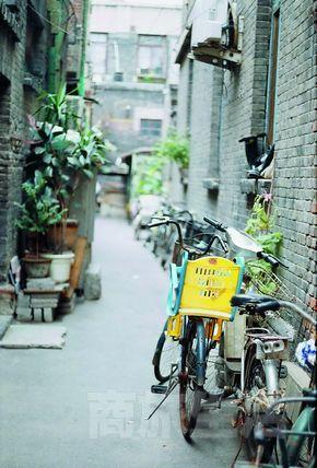 这种味道就是生命