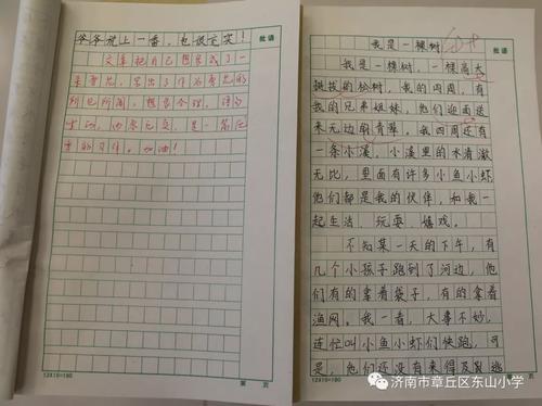 什么悄然绽放作文600字