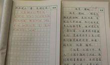 什么悄然绽放作文600字