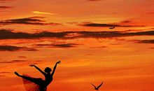 梦是太阳我要远远飞翔