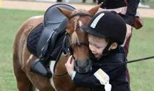 我是一匹小小马