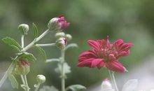 拥有一颗善辨的心