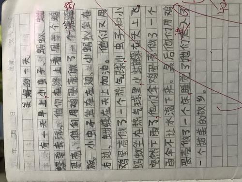 神奇的鸡蛋壳作文二年级
