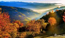 信任是最美的风景