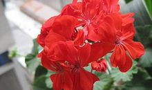 又是一年夏天到