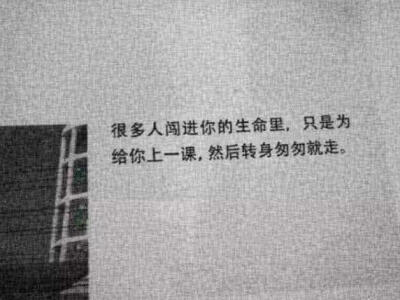 我们不懂爱情